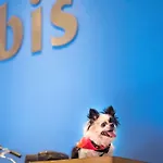 Hotel Ibis Lisboa Jose Malhoa